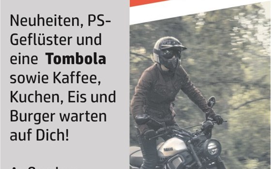 hmf SOMMERFEST - Bild 2