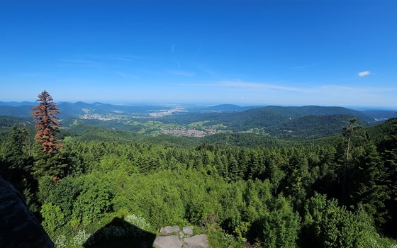 Schwarzwald 2026 - Bild 3 Schwarzwald 2026 - Bild 3