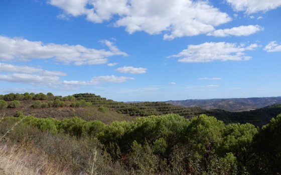 Algarve 2026 - Bild 3