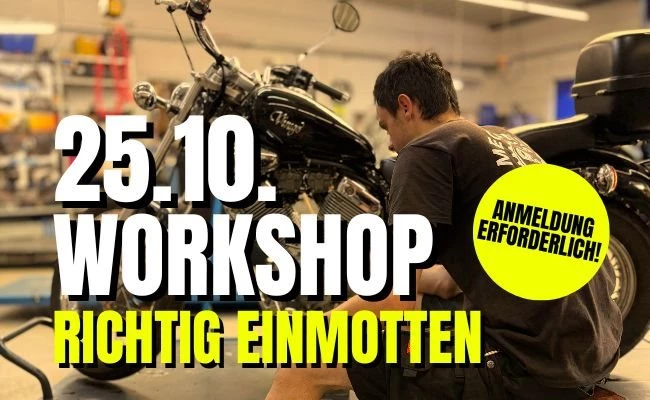 WORKSHOP - RICHTIG EINMOTTEN Bild 1: WORKSHOP - RICHTIG EINMOTTEN