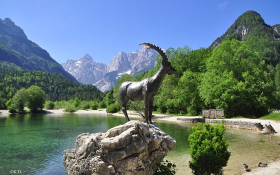 PEPA-BIKES "Kärnten / FRIAUL" TOUR 2026 - Bild 8