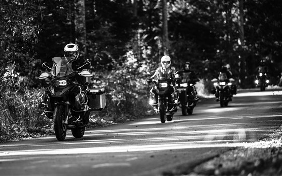 Angasen in der Fränkischen Schweiz - Bild 2