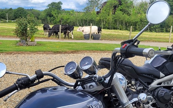 Bilder-, Reisevortrag von und mit Steini - Bild 1