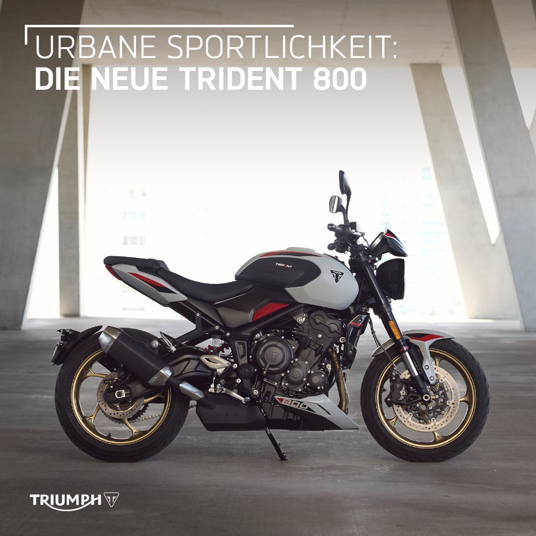 Vorstellung Trident 800