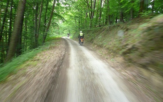 Steigerwald NaTour – Das unterschätzte Herz Deutschlands - Bild 1