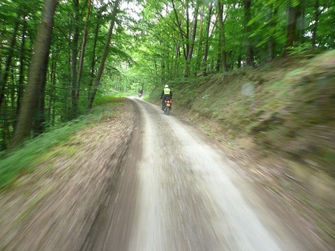 Steigerwald NaTour – Das unterschätzte Herz Deutschlands