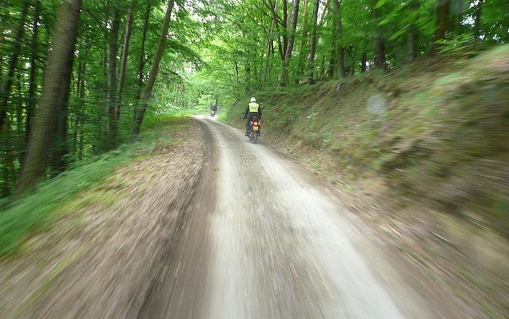 Steigerwald NaTour – Das unterschätzte Herz Deutschlands