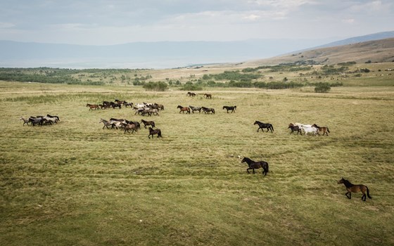 PEPA-BIKES TRANS BOSNIA ADVENTURE TOUR - Bild 10