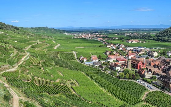 MOTOYAMA ON TOUR! - Bild 3