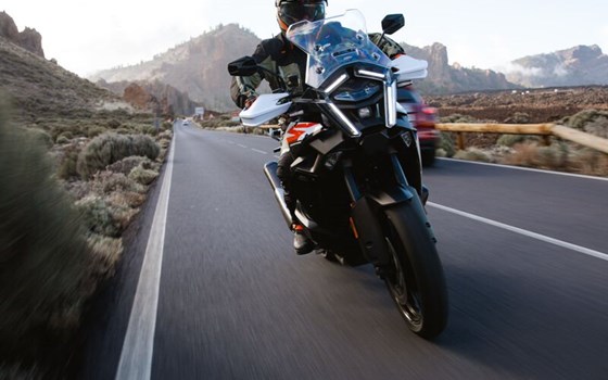 Frühlingsausstellung am 21./22. März 2026 - Bild 3