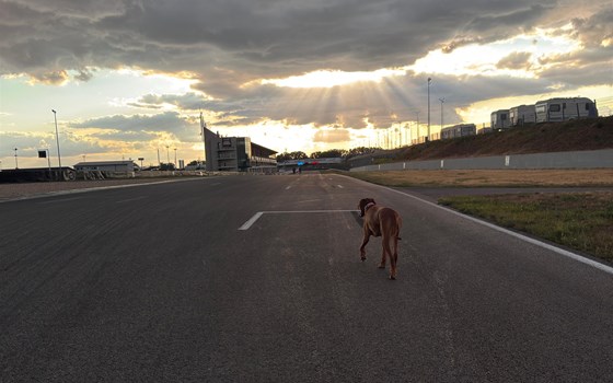 DSB Summer Race - Bild 3