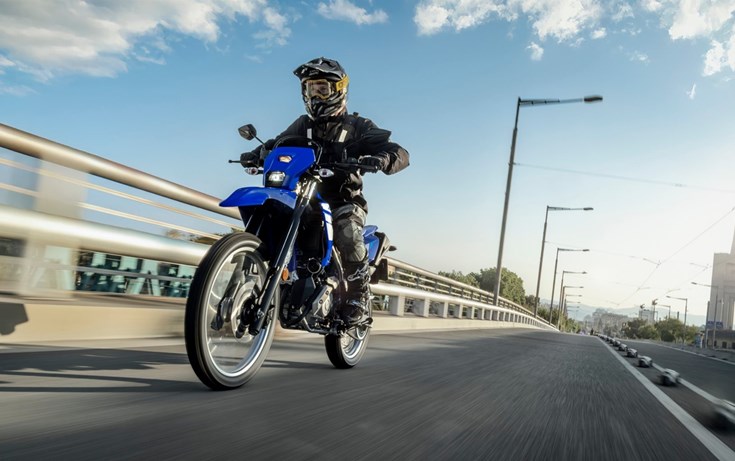 Scholly´s Day: Unser großes Saison-Opening!