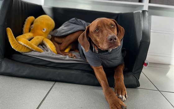 Season Opening Party - Bild 5