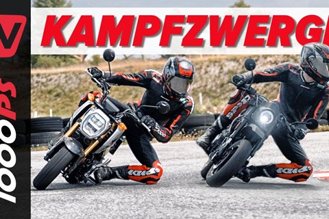 Pitbikes mit Straßenzulassung: Honda MSX 125 Grom vs. Brixton Crossfire 125 XS - Kampfzwerge Duell!
