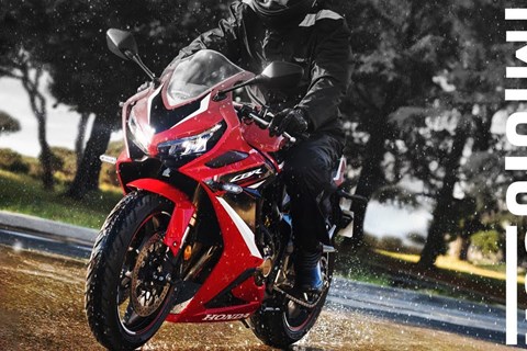 Universaltalent in 6. Generation - Michelin Road 6 / Road 6 GT 2022