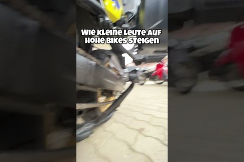 Stimmt das? was würdet ihr sagen 😂 #shorts