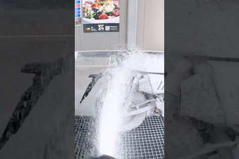 Honda Monkey 125 Creamy Wash