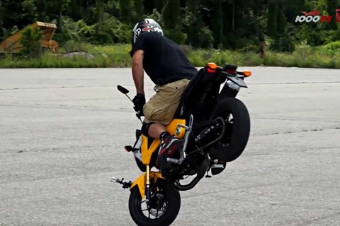 Honda MSX125 - Vienna Street Rockaz