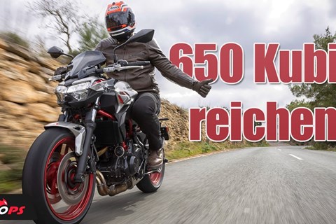 Mehr braucht es nicht! Test der Kawasaki Z650 2023 - Rückbesinnung auf das Wesentliche