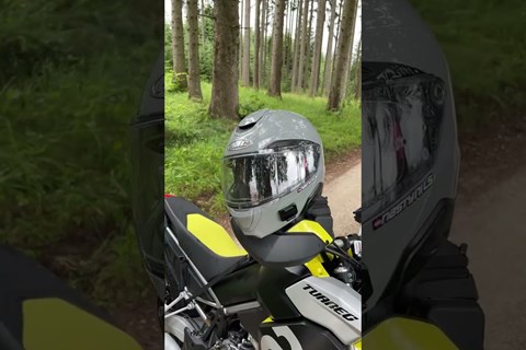 wenn der Hund die Handschuhe klaut beim Test 😂 #shorts