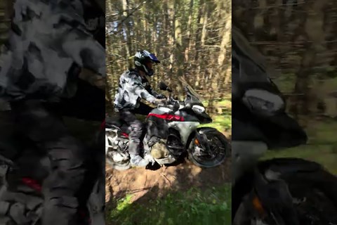 Mit 260kg den Singletrail hoch 😮 #shorts #ducati #multistrada