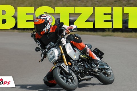 Sieht cool aus! Aber fährt sie auch schnell? Honda MSX125 Grom!