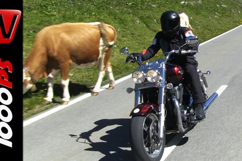 Triumph Thunderbird Commander vs. Ducati Diavel | Angeberbikes in den Alpen