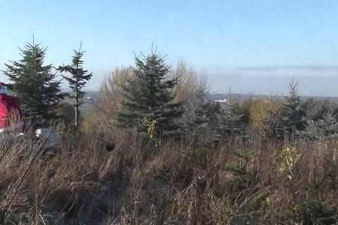 Wunderlich - Der (h)eilige Mann