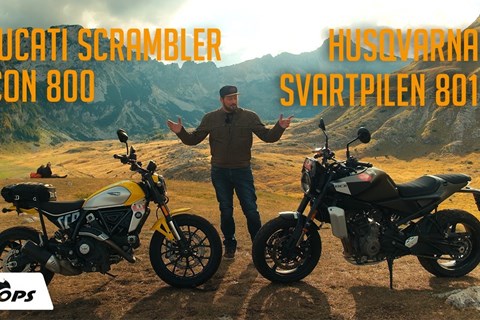Retro oder Hightech? Ducati Scrambler 800 ICON trifft Husqvarna Svartpilen 801