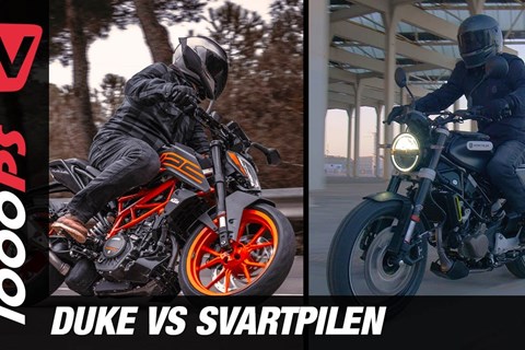 KTM 125 Duke vs. Husqvarna Svartpilen 125 2021 - Welche ist das beste A1-Motorrad für dich?