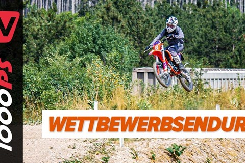 Sag bloß nicht Moped zu ihr! Beta 50 RR Racing Test 2021
