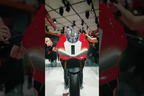 Die neuen V2-Ducatis 👀 #shorts