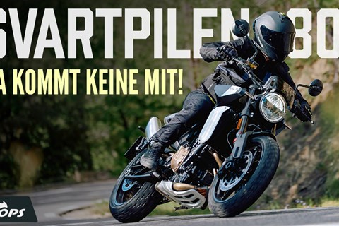 Preis-Leistungs-Sieger aus dem KTM-Konzern - Husqvarna Svartpilen 801 Test
