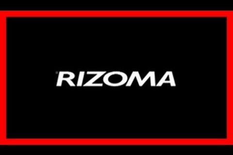 Bikelinz 2010 - Rizoma news