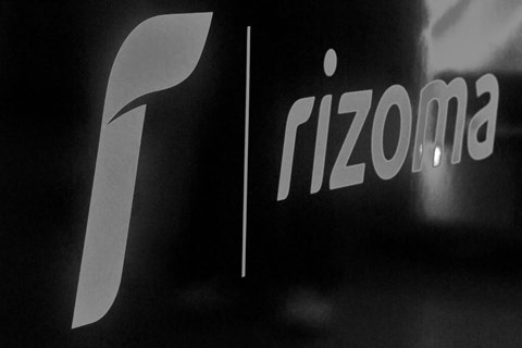 Rizoma - Wie ein neues Teil entsteht.