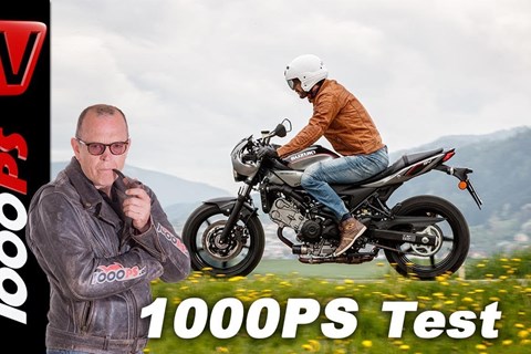 Suzuki SV650X Test - Retrobike 2018 Vergleich