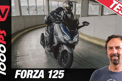 Honda Forza 125 Test 2021 - wie viel Luxus passt in einen Roller?