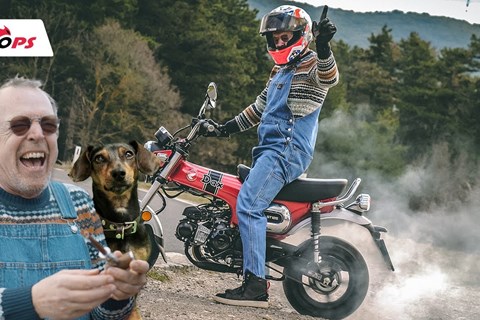 Honda DAX 125  Test 2023 - Who let the Dogs out?