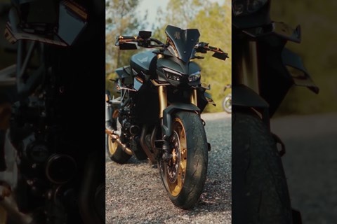 Die schärfste 1000er Hornet 🐝 von PUIG #puig #hondahornet