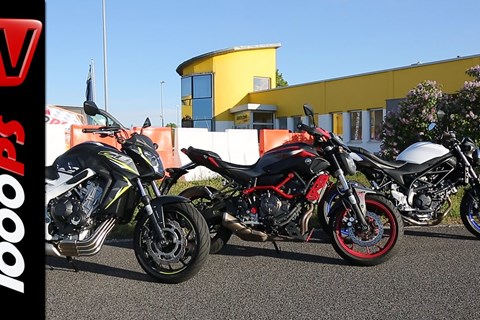 Einsteiger Nakedbikes 2016 Suzuki SV650, Yamaha MT 07, Honda CB650F