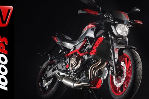 Yamaha MT-07 Moto Cage | Preis -Technische Daten-Details
