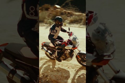 Winterflucht auf Almería 🇪🇸 #shorts