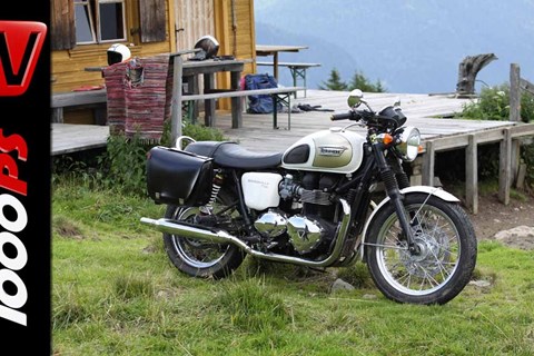 ZONKOs Corner Bonnie goes Alm