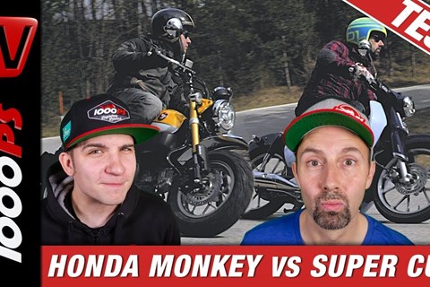 Honda Monkey vs. Super Cub - welches 125er-Funbike hat den besseren Style?