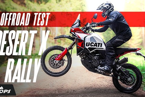 Ist sie das Geld wert? Ducati Desert X Rally 2024 im gnadenlosen Offroad-Test