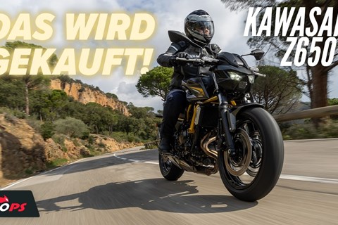 Was bringt das Update? Kawasaki Z650 S 2026 Test