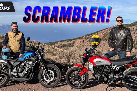 3000 Euro sparen? Honda CL500 und Ducati Scrambler 800 Icon im Vergleich