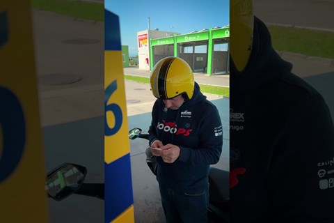 Den Sparefroh Vauli freut´s 😂#shorts