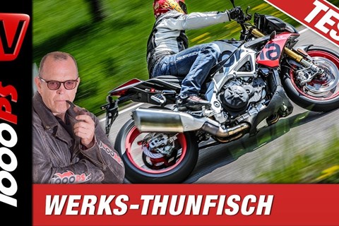 Aprilia Tuono V4 1100 Factory 2019 - Totaler Hammer!