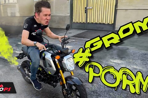 Honda MSX 125 Grom Tuning - Legales Pitbike -  TuneUp Teil 1